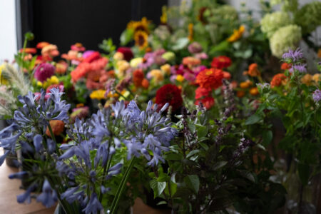 無農薬栽培の花の販売を開始致しました