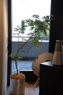 BANG & OLUFSEN Roppongi – Plants