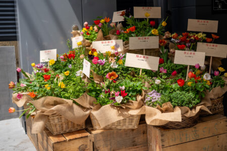 みんな商店　開店御祝の花
