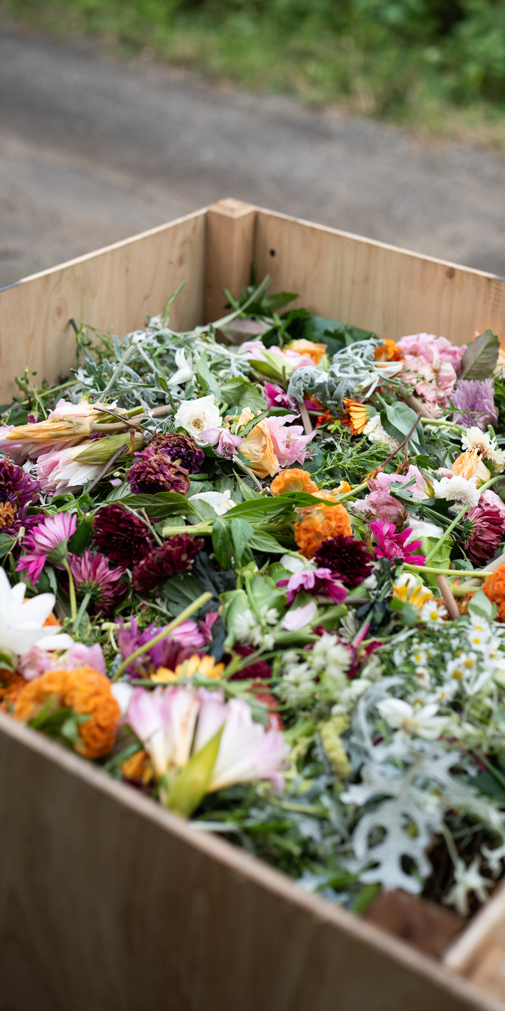 SENSES センシズ 植物循環の仕組み 農園コンポスト