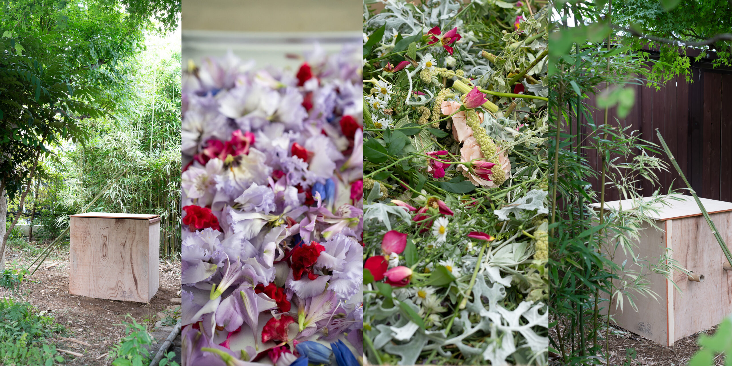 SENSES センシズ 植物循環の仕組み