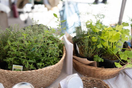 二子玉川ライズ 私の広場　-SETAGAYA REPUBLIC FES-　3/21(土) 3/22(日) 出店のお知らせ